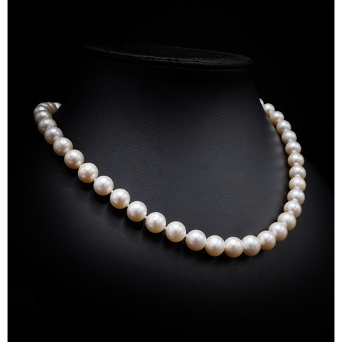 30B - FRESHWATER CULTURED PEARL NECKLACE, with a 9ct yellow gold ball clasp, size 17 inches / 43cm long