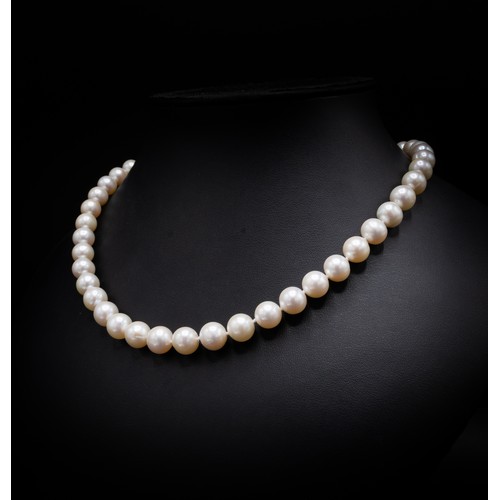 30B - FRESHWATER CULTURED PEARL NECKLACE, with a 9ct yellow gold ball clasp, size 17 inches / 43cm long