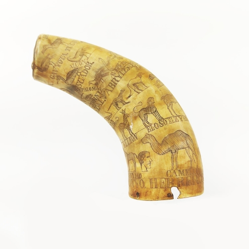 30 - SCRIMSHAW HORN POWDER FLASK, decorated with exotic fauna, inscribed 'Abryl 25 Del 84, Lopynto Pascas... 