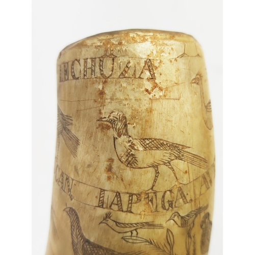 30 - SCRIMSHAW HORN POWDER FLASK, decorated with exotic fauna, inscribed 'Abryl 25 Del 84, Lopynto Pascas... 