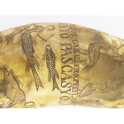 30 - SCRIMSHAW HORN POWDER FLASK, decorated with exotic fauna, inscribed 'Abryl 25 Del 84, Lopynto Pascas... 