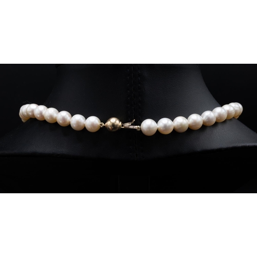 30B - FRESHWATER CULTURED PEARL NECKLACE, with a 9ct yellow gold ball clasp, size 17 inches / 43cm long