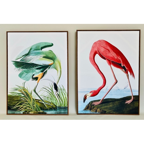 466 - CONTEMPORARY SCHOOL BIRD PRINTS ON CANVAS, a set of two, framed, 113cm H x 83cm. (2)