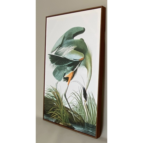 466 - CONTEMPORARY SCHOOL BIRD PRINTS ON CANVAS, a set of two, framed, 113cm H x 83cm. (2)