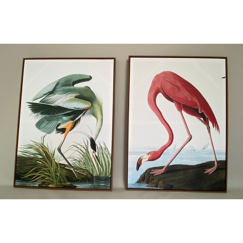 466 - CONTEMPORARY SCHOOL BIRD PRINTS ON CANVAS, a set of two, framed, 113cm H x 83cm. (2)