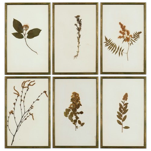 82 - 19TH CENTURY FRENCH HERBARIUM, a set of six, 40cm x 25cm each.