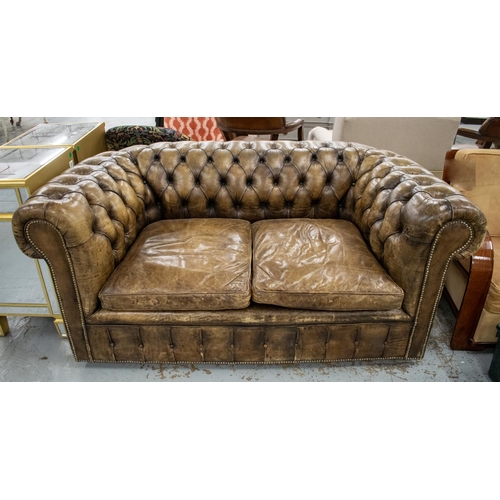 126 - CHESTERFIELD SOFA, tan leather on castors, 77cm H x 174cm W x 92cm D.