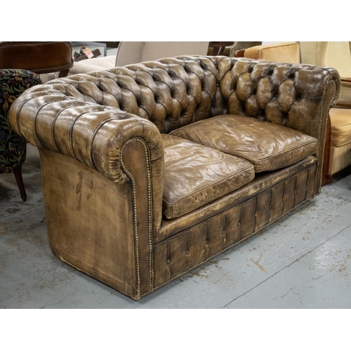 126 - CHESTERFIELD SOFA, tan leather on castors, 77cm H x 174cm W x 92cm D.