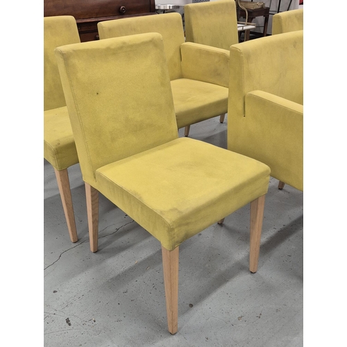 276 - HÜLSTA DINING CHAIRS, a set of six, yellow suede upholstery, 84cm H x 47cm W x 65cm D. (6)