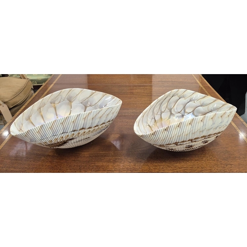 25 - YALOS MURANO GLASS BOWLS, a pair, shell design, 41.5cm L x 25cm approx each. (2)