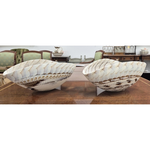 25 - YALOS MURANO GLASS BOWLS, a pair, shell design, 41.5cm L x 25cm approx each. (2)