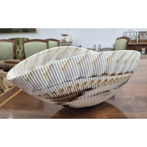 25 - YALOS MURANO GLASS BOWLS, a pair, shell design, 41.5cm L x 25cm approx each. (2)