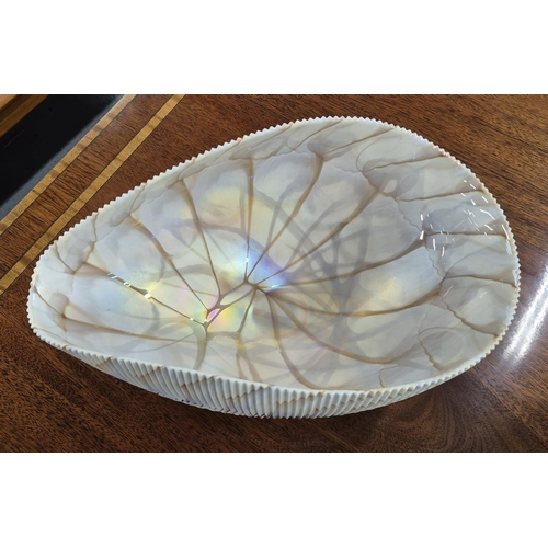 25 - YALOS MURANO GLASS BOWLS, a pair, shell design, 41.5cm L x 25cm approx each. (2)