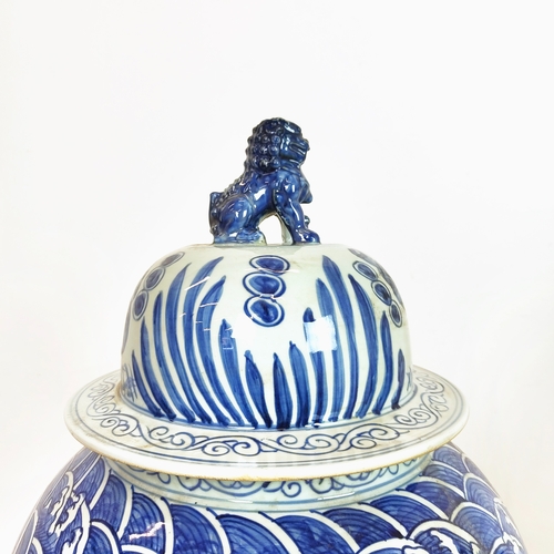 485 - TEMPLE JARS, a pair, large, blue and white ceramic, 112cm H x 40cm. (2)