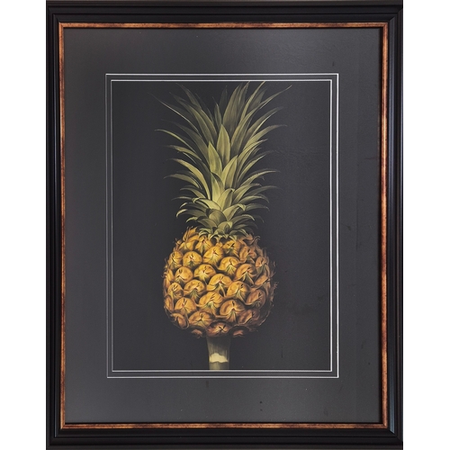 474 - CONTEMPORARY SCHOOL PINEAPPLE PRINTS, a pair, framed and glazed, 74cm H x 64cm. (2)