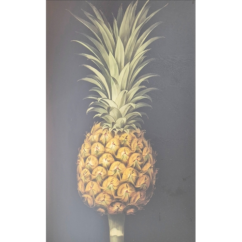 474 - CONTEMPORARY SCHOOL PINEAPPLE PRINTS, a pair, framed and glazed, 74cm H x 64cm. (2)