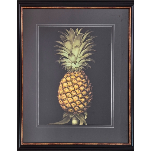 474 - CONTEMPORARY SCHOOL PINEAPPLE PRINTS, a pair, framed and glazed, 74cm H x 64cm. (2)