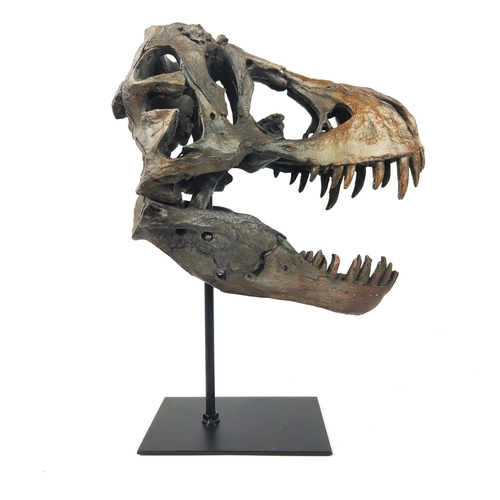 470 - CONTEMPORARY SCHOOL T-REX SCULPTURE, resin, 33cm H.