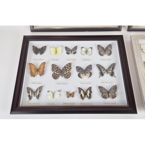 374 - FRAMED FAUX BUTTERFLY SPECIMENS, a set of four, 33cm H x 43cm W. (4)