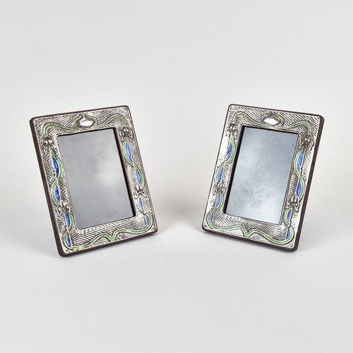 425 - PHOTO FRAMES, a pair, polished metal with enamel detail, 19.5cm x 14.5cm approx. (2)