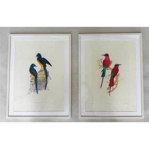 559 - BIRDS OF PARADISE BY MARTIN WOODCOCK, two, golden busted and bee-eaters, printed by Alex Gerrard, 16... 