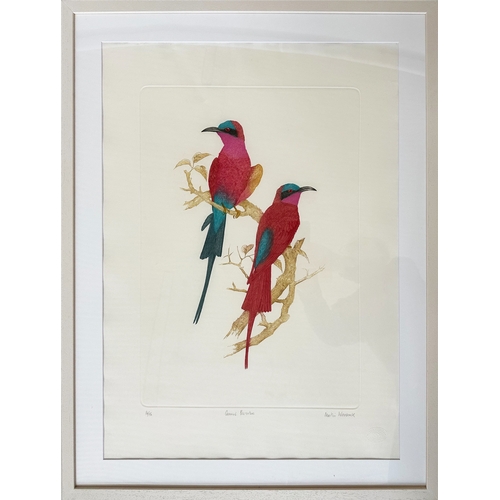 559 - BIRDS OF PARADISE BY MARTIN WOODCOCK, two, golden busted and bee-eaters, printed by Alex Gerrard, 16... 