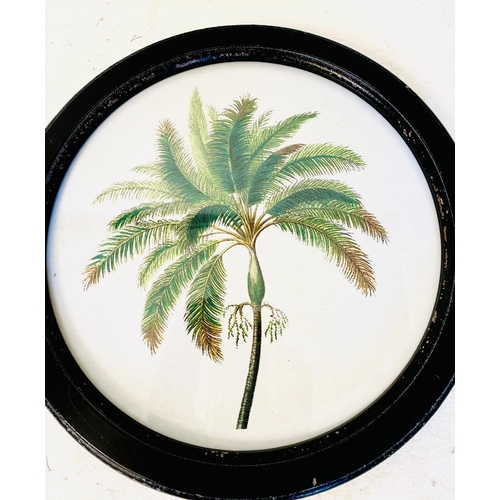 328 - BOTANICAL PRINTS, a set of eight, framed and glazed with circular black frames, 35cm W. (8)