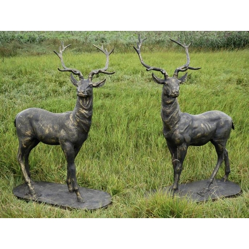 336 - SCULPTURAL STAGS, two, cast metal, 155cm H each approx. (2)