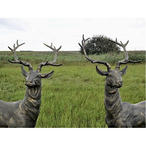 336 - SCULPTURAL STAGS, two, cast metal, 155cm H each approx. (2)