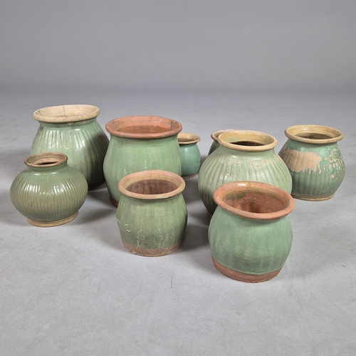 Lot 595       