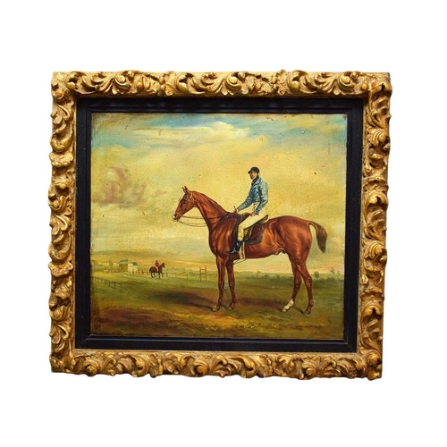 Lot 37        