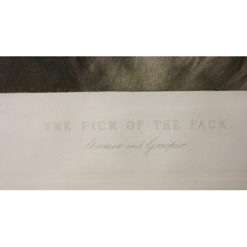 57 - HEYWOOD HARDY (BRITISH 1842-1933). After. THE PICK OF THE PACK - STORMER AND GRASPER. Engraved by J.... 