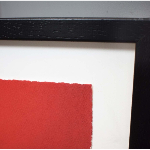 107 - ARDYN HALTER (BRITISH B. 1956). MYCOLOGIA. silkscreen on Somerset paper; printed by Kip Gresham Stud... 