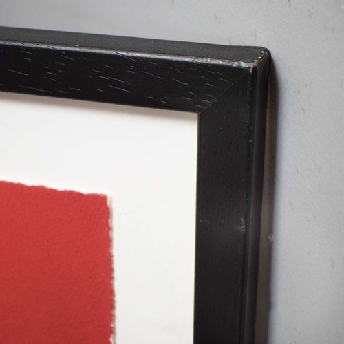 107 - ARDYN HALTER (BRITISH B. 1956). MYCOLOGIA. silkscreen on Somerset paper; printed by Kip Gresham Stud... 