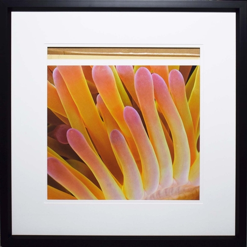 111 - TROWBRIDGE GALLERY PRINTS (4). framed, 79.5cm x 79.5cm each approx. (4).