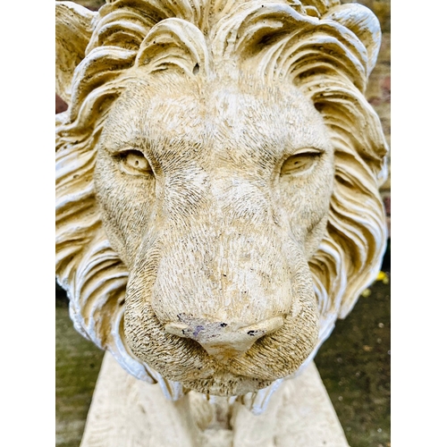 249 - PAIR OF GARDEN LION STATUES. 68cm H x 42cm W x 55cm D.