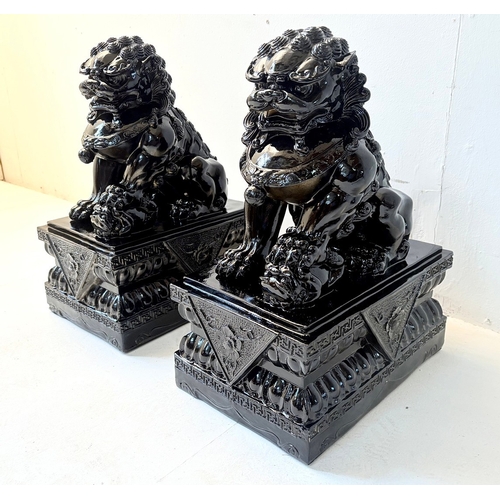 259 - PAIR OF DOGS OF FOO. in black gloss finish, 49cm H x 40cm W x 20cm D.