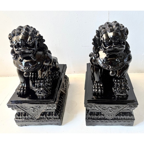 259 - PAIR OF DOGS OF FOO. in black gloss finish, 49cm H x 40cm W x 20cm D.