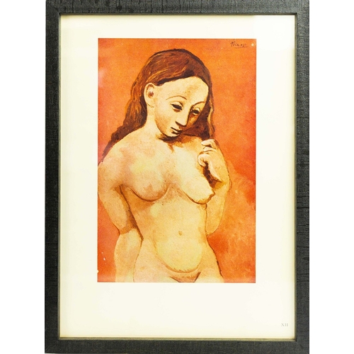 55 - PABLO PICASSO. PEINTURES ET BLEUE ET ROSE. (d) Series of  Lithographs Colour plates, plates of varyi... 