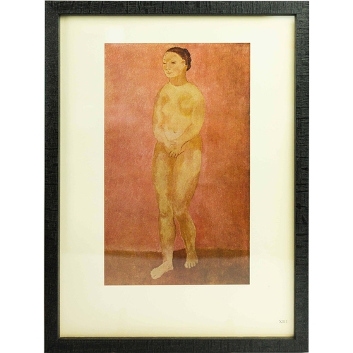 55 - PABLO PICASSO. PEINTURES ET BLEUE ET ROSE. (d) Series of  Lithographs Colour plates, plates of varyi... 