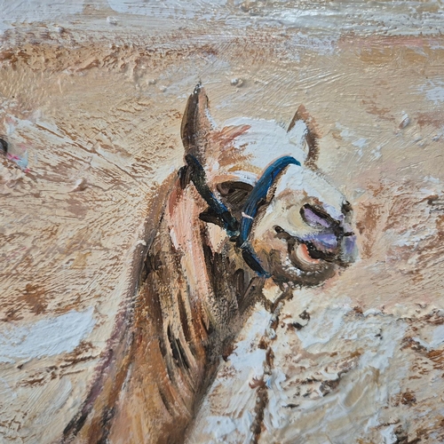 81 - KEN DAVIS. CAMEL DRIVER AND PYRAMIDS. oil on board, 50cm x 60cm, framed.