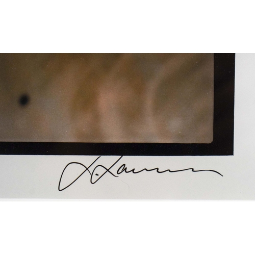 96 - HORST HAMANN (GERMAN B. 1958). NEW YORK. (d) Gelatin silver print, from the New York Vertical series... 