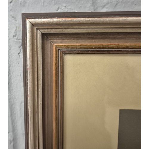 98 - HOI LEBADANG (VIETNAMESE/FRENCH 1922-2015). CHEVAL D'ANTON. serigraph.