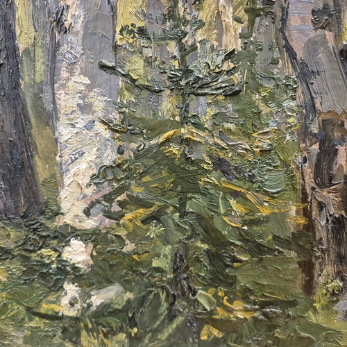 46 - YAKOV KHAIMOV (1914-1991). BIRCH TREES FOREST 1950S. oil on board, 49cm x 69cm.