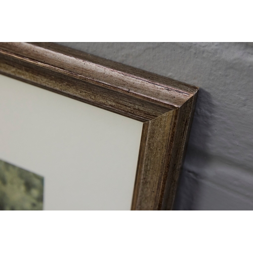 48 - JOHN BRYCE (19342022). STATE VISIT, ADMIRALTY ARCH. watercolour, 45cm x 54cm, framed.