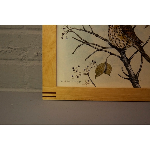 93 - EILEEN HARD (20TH CENTURY BRITISH). BIRD STUDIES (5). gouache/paper, 30cm x 24cm.