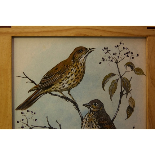 93 - EILEEN HARD (20TH CENTURY BRITISH). BIRD STUDIES (5). gouache/paper, 30cm x 24cm.