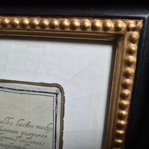 115 - BOTANICAL 'TULIP' PRINTS (2). a pair, 77cm x 59cm, framed.