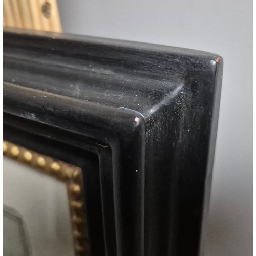 115 - BOTANICAL 'TULIP' PRINTS (2). a pair, 77cm x 59cm, framed.