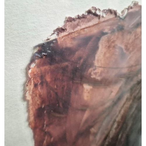 72 - 20TH CENTURY SCHOOL. HEAD STUDY. mixed media, indistinctly signed and dated 90, 83cm x 59cm, framed.